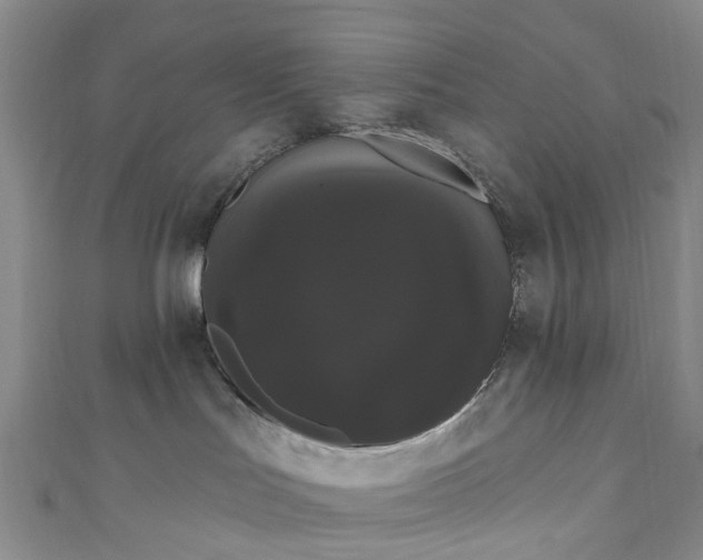 X0000111020047200906261550