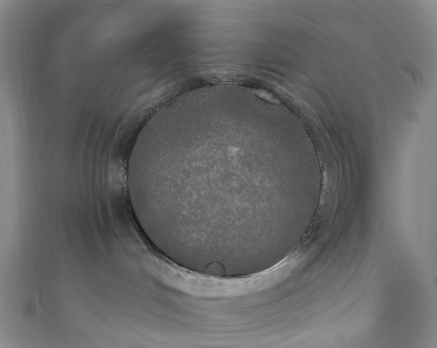 X0000111020048200906261549