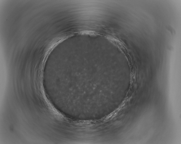X0000111020049200906261549