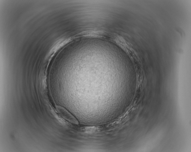 X0000111020050200906261549