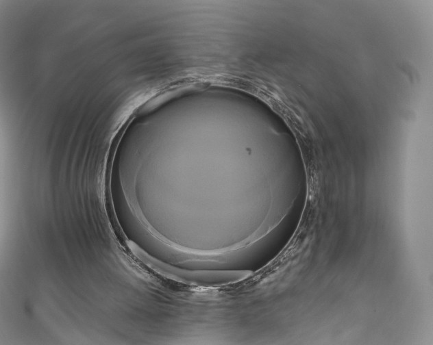 X0000111020052200906261549