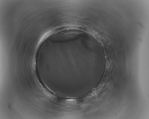 X0000111020053200906261549