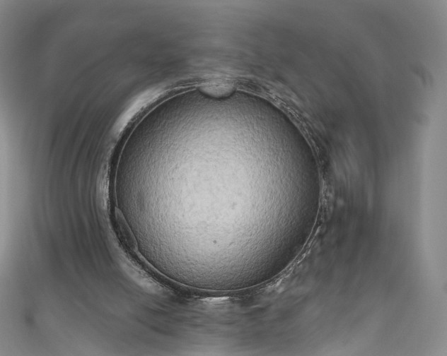 X0000111020054200906261549