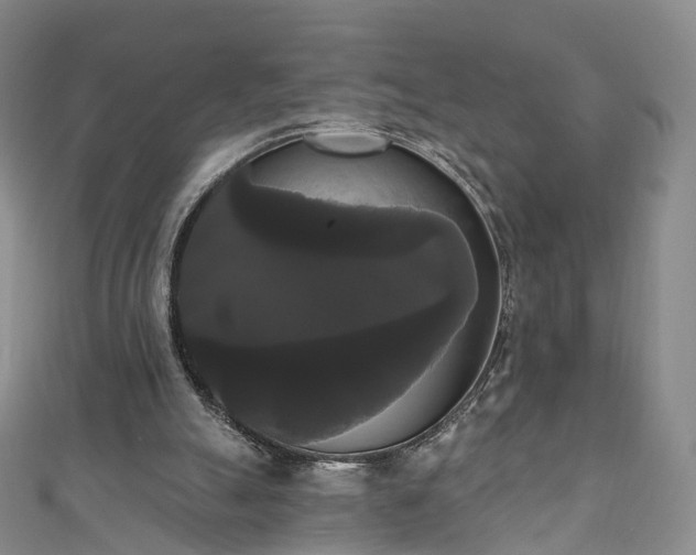 X0000111020055200906261549