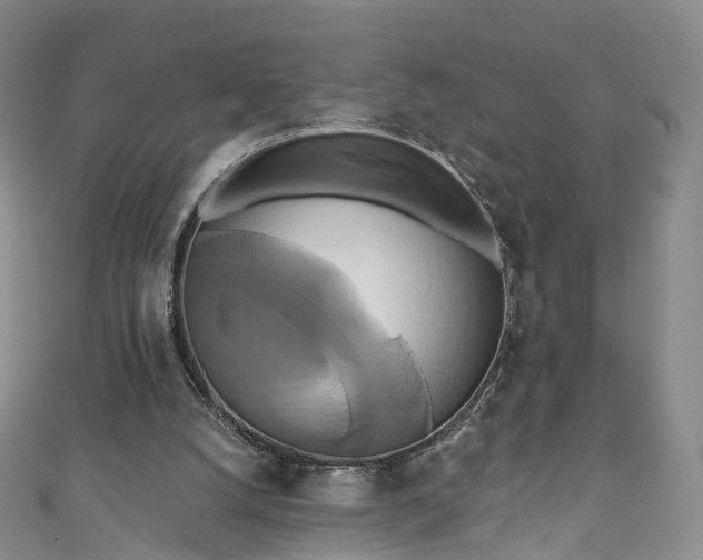 X0000111020056200906261549