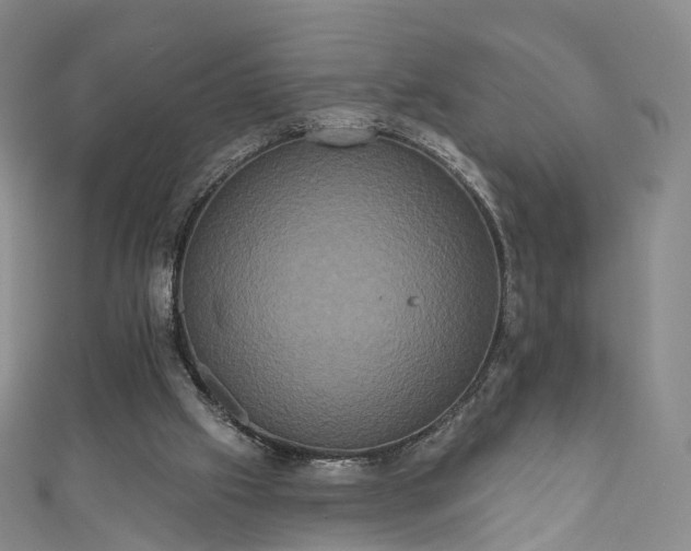 X0000111020057200906261549