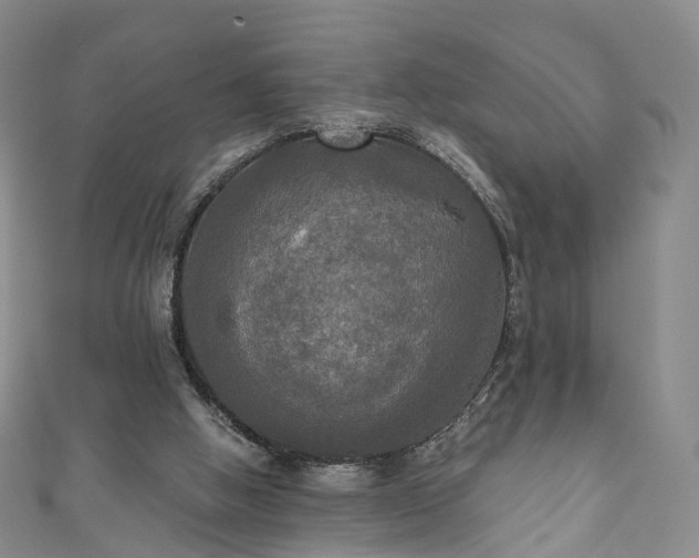 X0000111020058200906261549