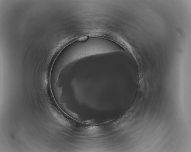 X0000111020059200906261549