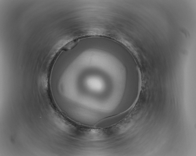 X0000111020060200906261549