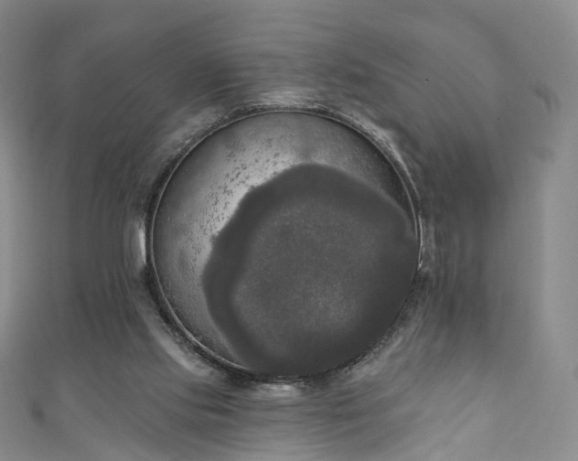X0000111020061200906261549