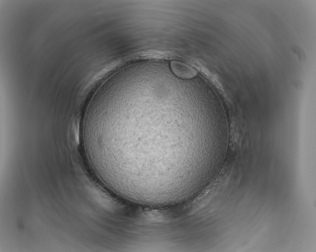 X0000111020062200906261549