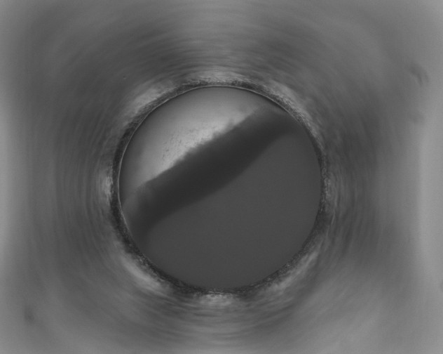 X0000111020063200906261549
