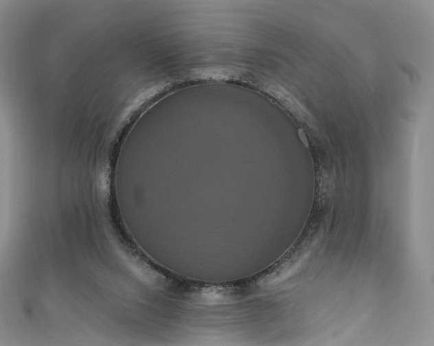 X0000111020064200906261549