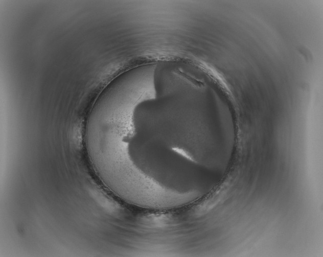 X0000111020065200906261549