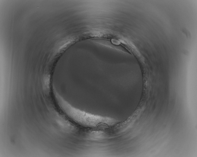 X0000111020066200906261549