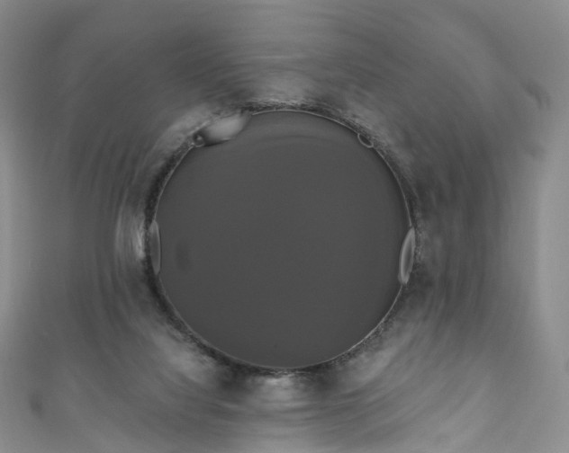 X0000111020068200906261549