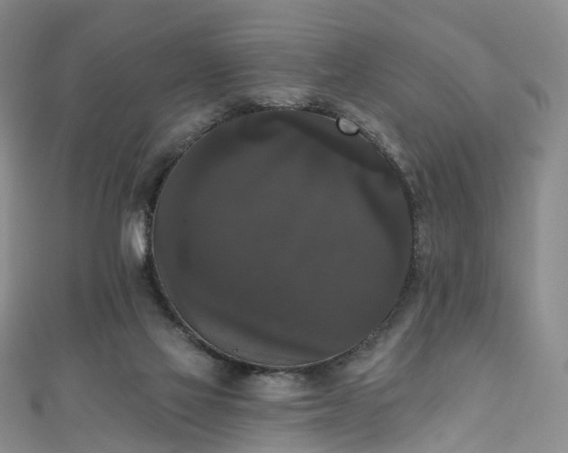 X0000111020069200906261549