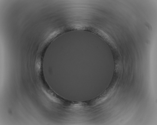 X0000111020072200906261549