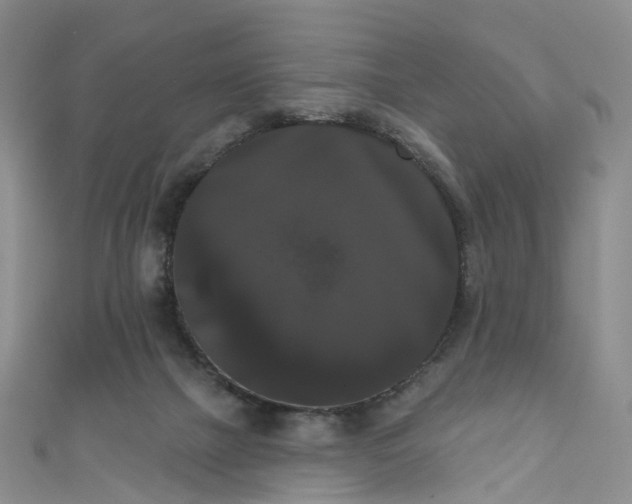 X0000111020073200906261549
