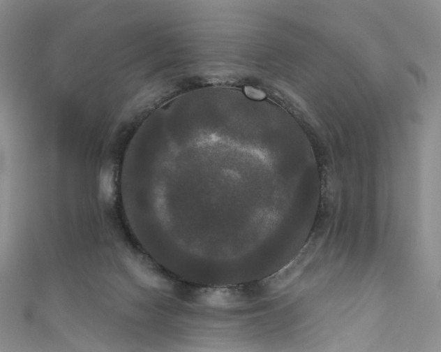 X0000111020074200906261549