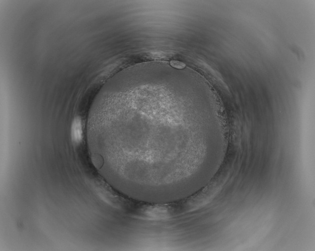 X0000111020075200906261549