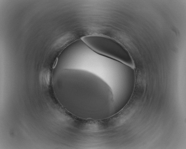 X0000111020076200906261549