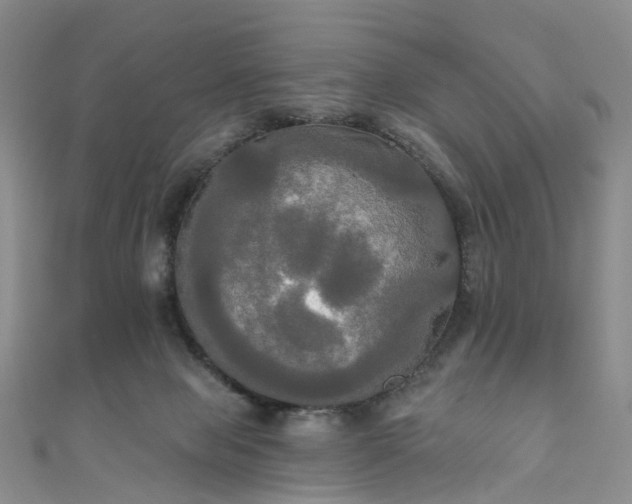 X0000111020077200906261549