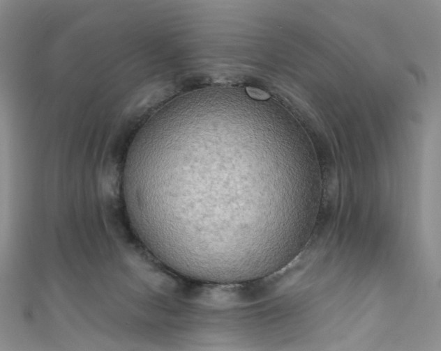 X0000111020078200906261549