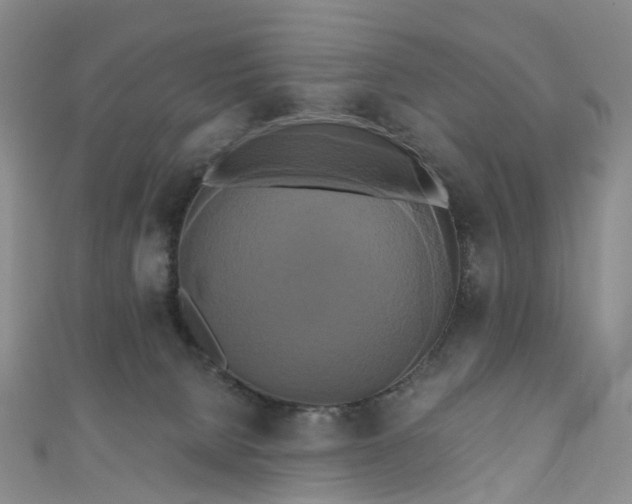 X0000111020080200906261549