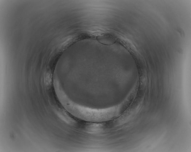 X0000111020081200906261549