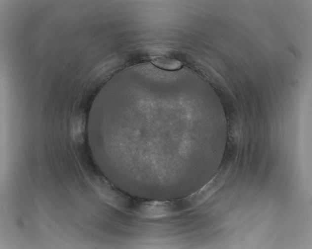 X0000111020082200906261549