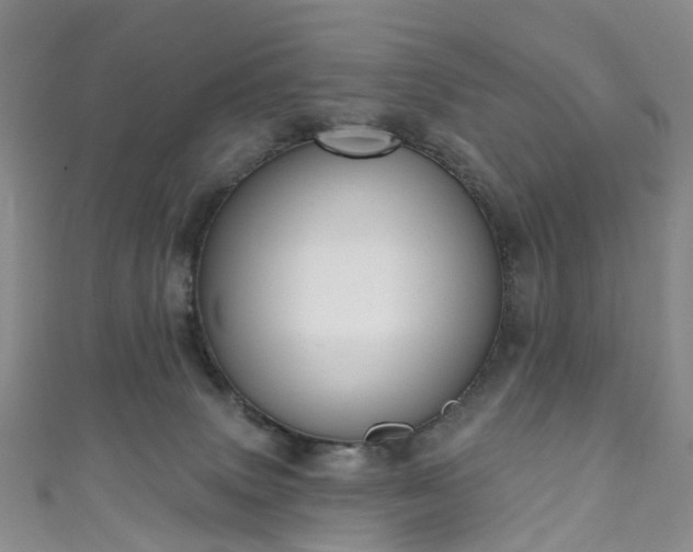 X0000111020083200906261549