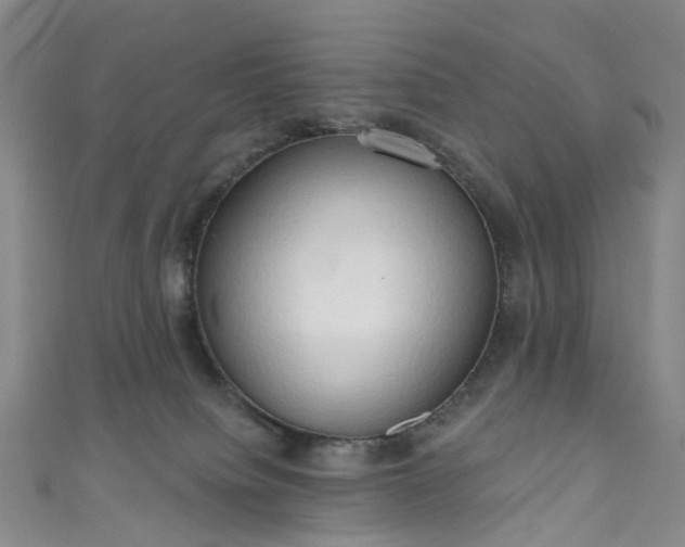 X0000111020084200906261549