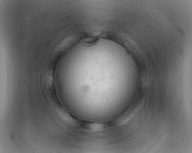 X0000111020085200906261549