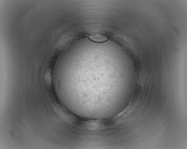 X0000111020086200906261549