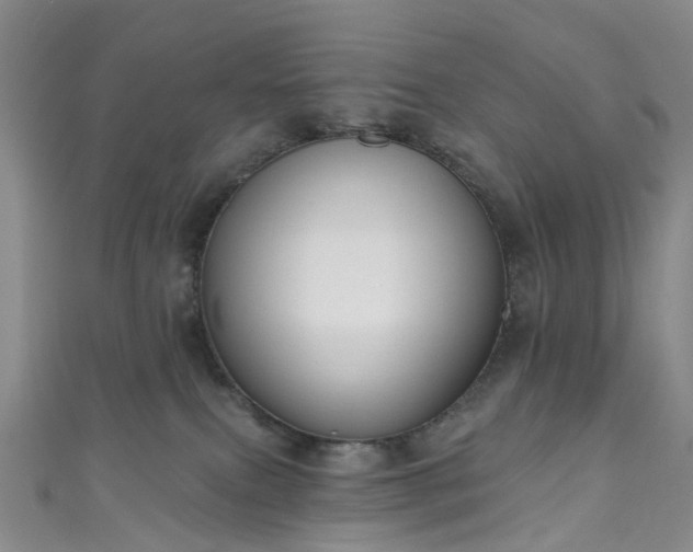 X0000111020087200906261549