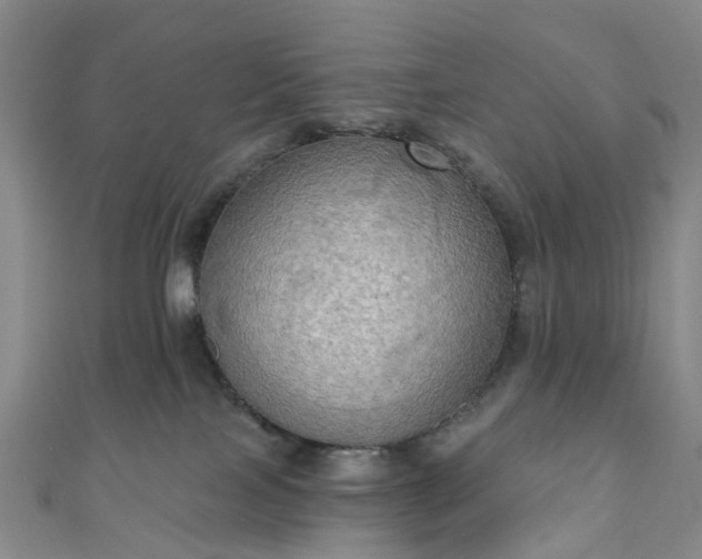 X0000111020089200906261549