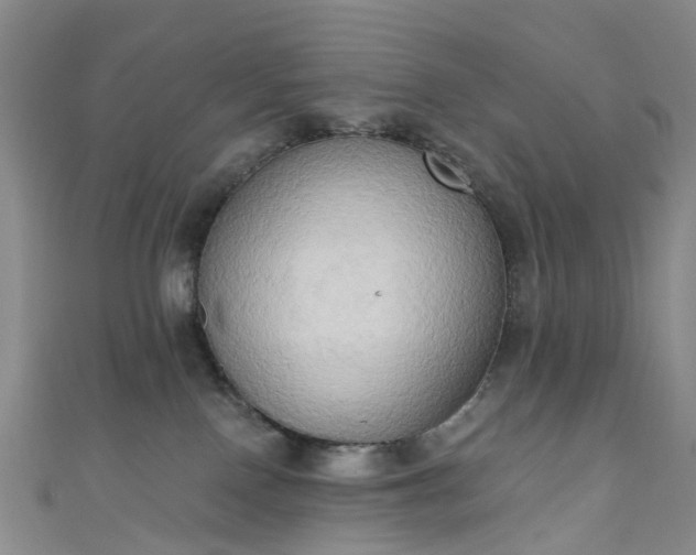 X0000111020090200906261549