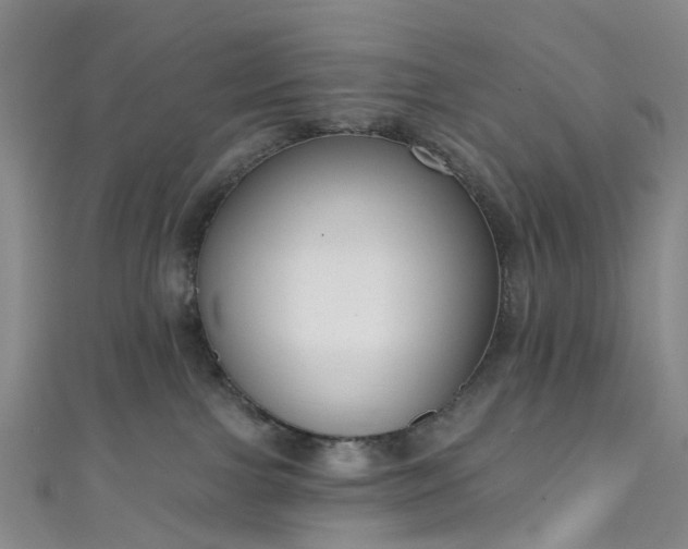 X0000111020091200906261549