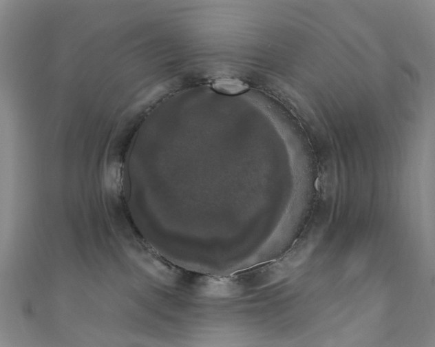 X0000111020093200906261549