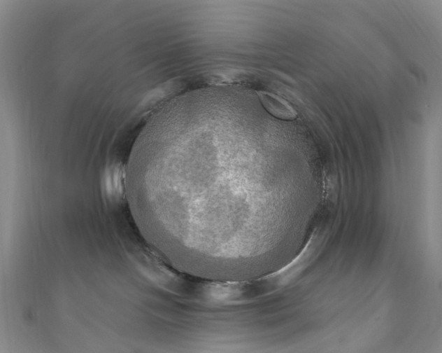 X0000111020094200906261549