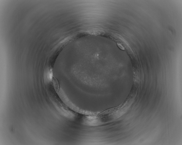 X0000111020095200906261549
