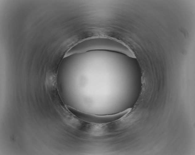 X0000111020096200906261549