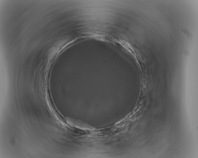 X0000111020097200906261549