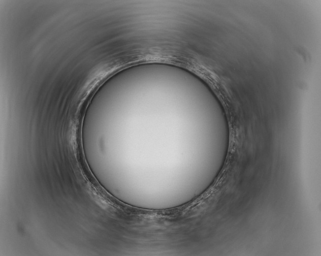 X0000111020098200906261549