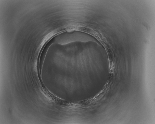 X0000111020099200906261549