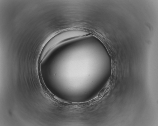 X0000111020100200906261549