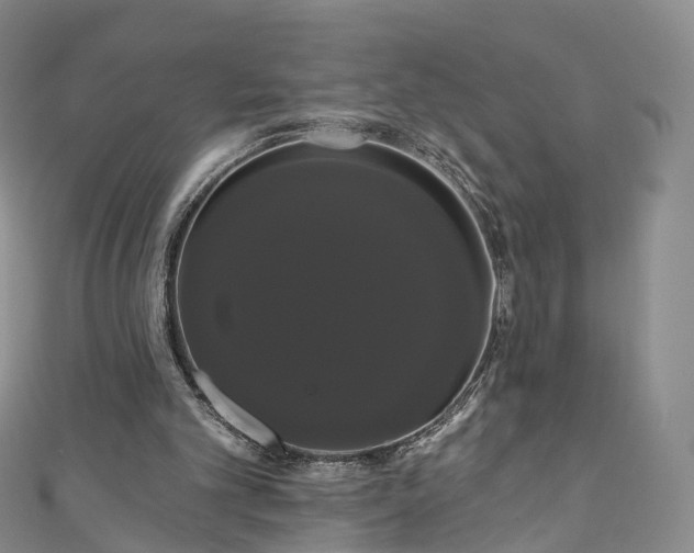 X0000111020101200906261549