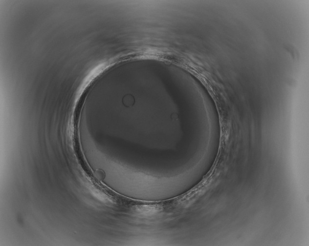 X0000111020102200906261549