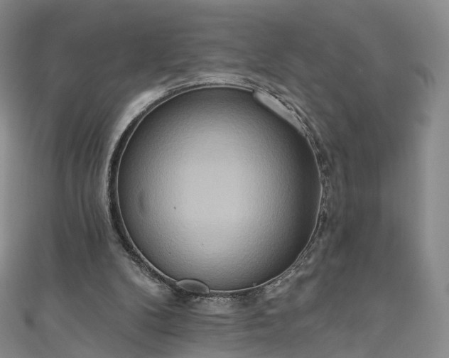 X0000111020104200906261549